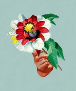 Kingdoms in Colour (Vinyl 12" Album) - Maribou State