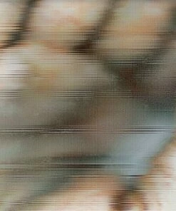 Blood Music: Pentamerous Metamorphosis - Chapterhouse Retranslated (Vinyl 12" Album) - Global Communication