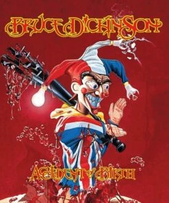 Accident of Birth (Vinyl 12" Album) - Bruce Dickinson