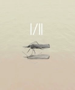 I/II (Vinyl 12" Album) - Mol