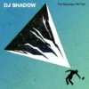 The Mountain Will Fall (Vinyl 12" Album) - DJ Shadow -usa Music Sales 2022 97334ddd 43b2 469e 9a93 f0efc2b1cc51