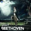 Heroic Beethoven (Vinyl 12" Album) - Ludwig van Beethoven -usa Music Sales 2022 9f017646 b16d 4fa3 958c b98a4350f6ba