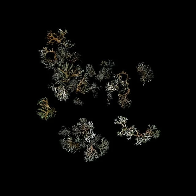 Return (Vinyl 12" Album) - Deathcrash 3 Return (Vinyl 12" Album) - Deathcrash