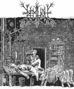 Em9T2Ness of Van2S1Ing/V34Ish6Ng 0F Emptiness (Vinyl 12" Album) - Demilich