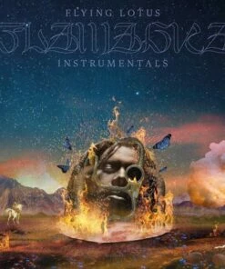 Flamagra Instrumentals (Vinyl 12" Album) - Flying Lotus