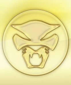 The Golden Age of Apocalypse (Vinyl 12" Album) - Thundercat