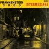 Intermediary Stage (Vinyl 12" Album) - Frankenstein 3000 -usa Music Sales 2022 a82ea8f5 a37e 47d0 ae25 7fb3f8dcc91d