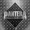 Reinventing the Steel (Vinyl 12" Album) - Pantera