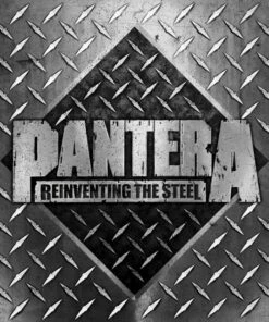 Reinventing the Steel (Vinyl 12" Album) - Pantera