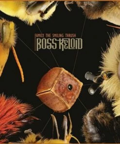 Family the Smiling Thrush (CD Album) - Boss Keloid