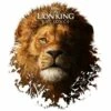 The Lion King: The Songs (Vinyl 12" Album) - Various Artists -usa Music Sales 2022 ae929ddf d517 46b3 abd2 805136a93caa