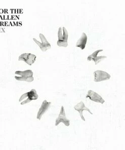 Six (CD Album) - For the Fallen Dreams