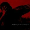 The Great Cold Distance (Vinyl 12" Album) - Katatonia