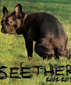 Seether: 2002-2013 (CD Album) - Seether