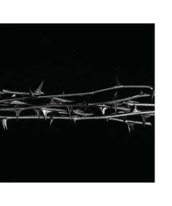 De Doorn (Vinyl 12" Album) - Amenra