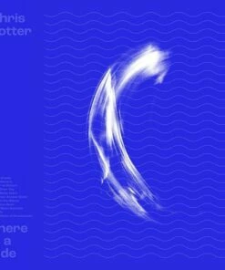 There Is a Tide (Vinyl 12" Album) - Chris Potter