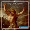 Georg Philipp Telemann: Easter Cantatas (CD Album) - Georg Philipp Telemann -usa Music Sales 2022 bbe85093 1195 4b26 a6a6 207633f4612a