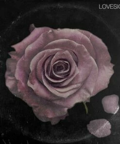 Lovesick (Vinyl 12" Album) - Raheem Devaughn & Apollo Brown