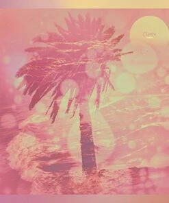 Homey (CD Album) - Chon