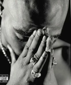 The Best of 2Pac: Part 2: Life (Vinyl 12" Album) - 2Pac