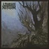 Stilte (Vinyl 12" Album) - A Thousand Sufferings -usa Music Sales 2022 be4a0641 1e8c 4680 91e2 14d6364c2b1b