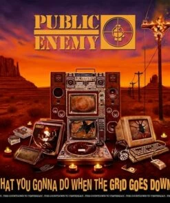 What You Gonna Do When the Grid Goes Down? (Vinyl 12" Album) - Public Enemy