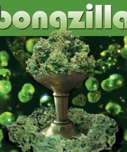 Stash (Vinyl 12" Album) - Bongzilla