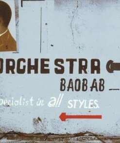 Specialist in All Styles (Vinyl 12" Album) - Orchestra Baobab