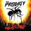 World's On Fire (Vinyl 12" Album) - The Prodigy -usa Music Sales 2022 c42aa23d b27f 4dfa 9737 5b13d3f9e784