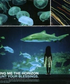 Count Your Blessings (CD Album) - Bring Me the Horizon