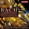 B-A-C-H: Anatomy of a Motif (CD Album) - Johann Sebastian Bach 2 B-A-C-H: Anatomy of a Motif (CD Album) - Johann Sebastian Bach -usa Music Sales 2022 cd890837 8731 4c9e b71b 790d4b944b8e