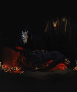 I Grow Tired But Dare Not Fall Asleep (Vinyl 12" Album) - Ghostpoet