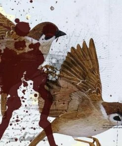 This Is What the Edge of Your Seat Was Made For (CD Album) - Bring Me the Horizon