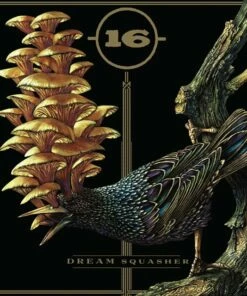 Dream Squasher (Vinyl 12" Album) - 16