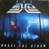 Brave the Storm (CD Album) - Shy