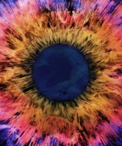 Horizons/East (Vinyl 12" Album) - Thrice