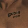 La Revancha Del Tango (Vinyl 12" Album) - Gotan Project