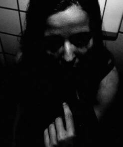 V/Halmstad (CD Album) - Shining