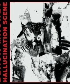 Hallucination Scene (Vinyl 12" Album) - Black Magnet