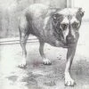 Alice In Chains (CD Album) - Alice in Chains 1 Alice In Chains (CD Album) - Alice in Chains -usa Music Sales 2022 f71235fd 4837 4141 97a8 9742c296c393