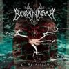 Empiricism (CD Album) - Borknagar 1 Empiricism (CD Album) - Borknagar -usa Music Sales 2022 f730361d 0265 4f13 ab80 437dcfb2432f