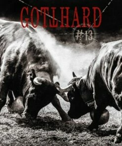 #13 (Vinyl 12" Album) - Gotthard